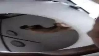 نيك جزاريات سمينات