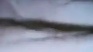 مزه تعرض بززها