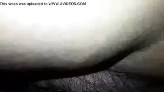 نيك طالبيه مصريه