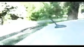 متحول جنسي عرقي مسرح